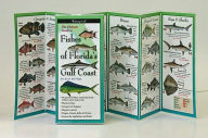 Title: Fishes of the Florida's Gulf Coast, Author: Bob Shipp