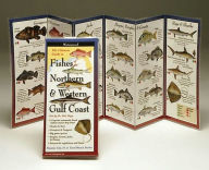Title: Fishes of the North & Western Gulf Coast, Author: Bob Shipp
