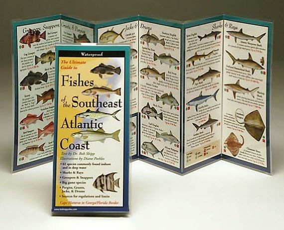 Fishes of the Southeast Atlantic Coast