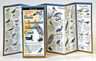 Title: Birds of the Southeast Atl. Coast, Author: Lewers Steven & Associates