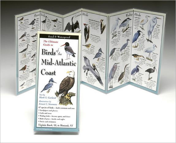 Birds of the Mid-Atlantic Coast