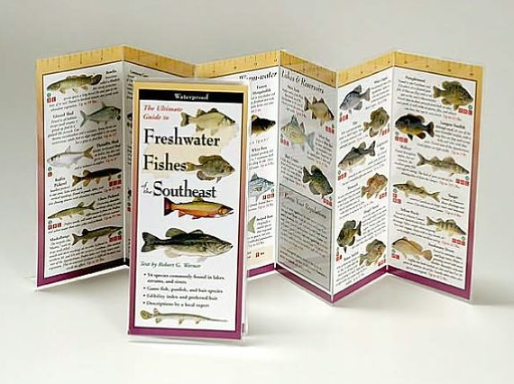 Freshwater Fishes of the Southeast