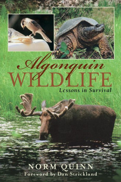 Algonquin Wildlife: Lessons Survival