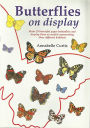 Butterflies on Display: Cut out butterfly models