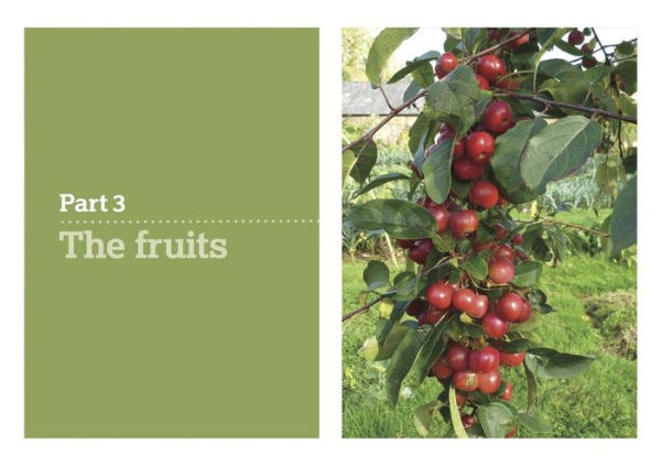 The Fruit Tree Handbook