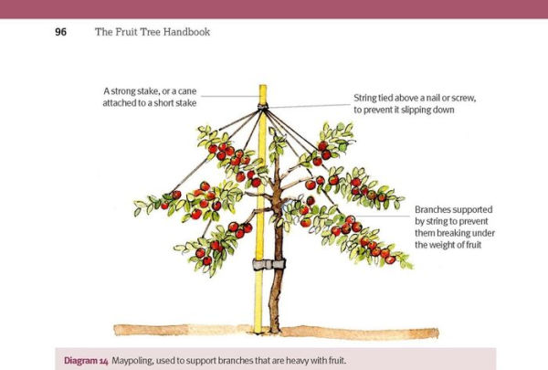 The Fruit Tree Handbook