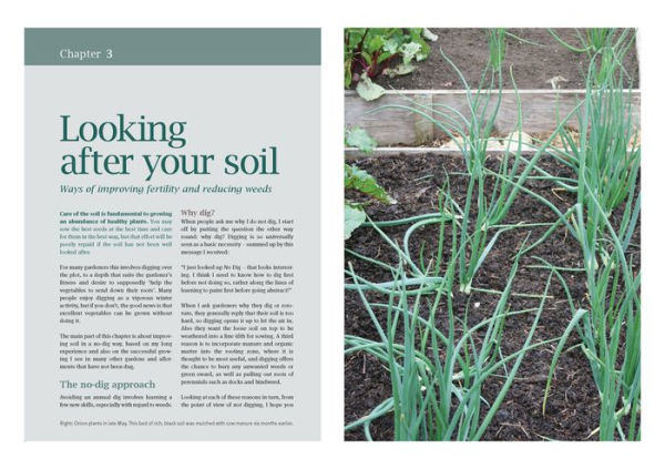 How to Grow Winter Vegetables