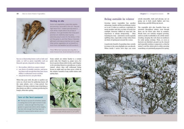 How to Grow Winter Vegetables