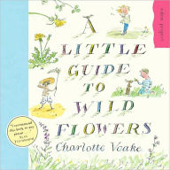 Title: A Little Guide to Wild Flowers, Author: Charlotte Voake