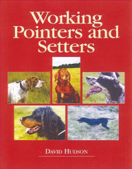 Title: Working Pointers and Setters, Author: David Hudson