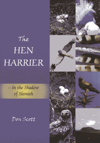 the Hen Harrier: Shadow of Slemish