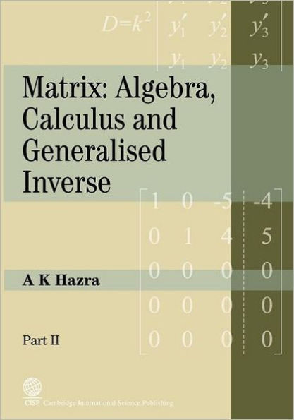 Matrix: Algebra, Calculus and Generalized Inverse (Part II)