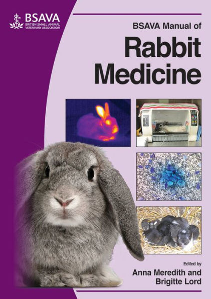 BSAVA Manual of Rabbit Medicine / Edition 1