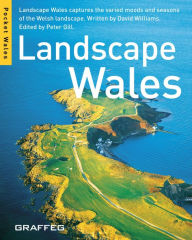 Title: Landscape Wales, Author: David Williams