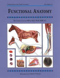 Title: FUNCTIONAL ANATOMY, Author: CHRIS COLLES