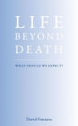 Life Beyond Death: What Should We Expect?