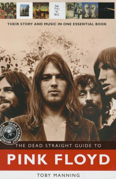 The Dead Straight Guide to Pink Floyd