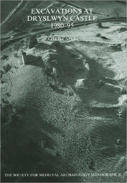 Excavations at Dryslwyn Castle 1980-1995