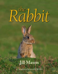 Title: The Rabbit, Author: Jill Mason