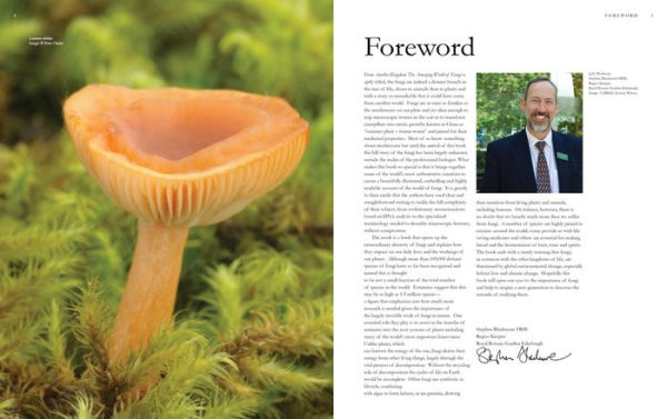 From Another Kingdom: The Amazing World of Fungi