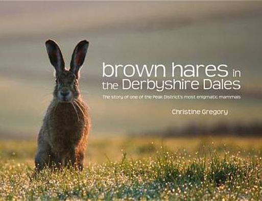 Brown Hares in the Derbyshire Dales: The Story of One of the Peak District's Most Enigmatic Mammals
