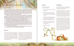Alternative view 2 of The Children's Forest: Stories & Songs, Wild Food, Crafts & Celebrations