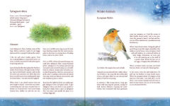 Alternative view 3 of The Children's Forest: Stories & Songs, Wild Food, Crafts & Celebrations