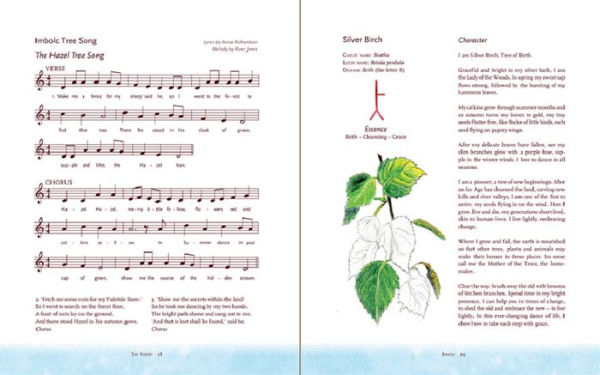 The Children's Forest: Stories & Songs, Wild Food, Crafts & Celebrations