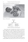 Alternative view 10 of Movement:Your Child's First Language: How Movement and Music assists brain development in children aged 3-7 years
