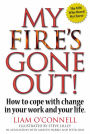 My Fire's Gone Out!: How to Cope With Change in Your Work and Life