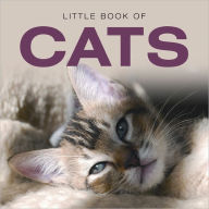 Title: Little Book of Cats, Author: Jon Stroud