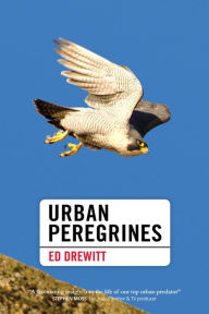 Title: Urban Peregrines, Author: Ed Drewitt