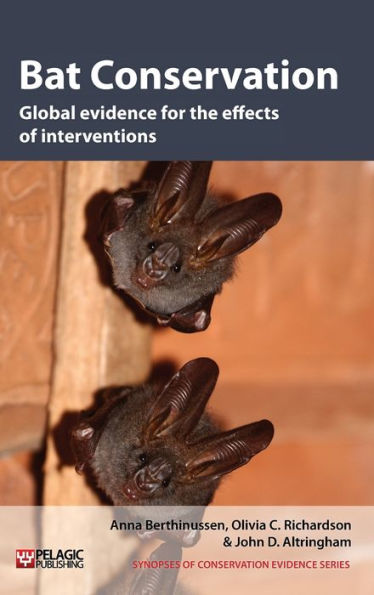 Bat Conservation: Global evidence for the effects of interventions