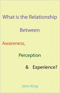 Title: What is the Relationship Between Awareness, Perception & Experience?, Author: John King