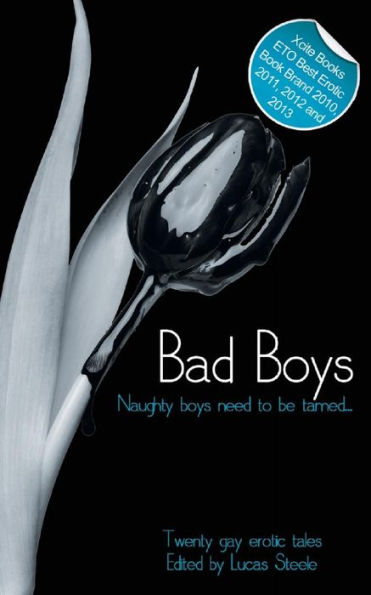 Bad Boys: When Men Come Together