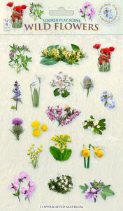 Title: Sticker Play Scene: Wild Flowers, Author: Andrea Pinnington