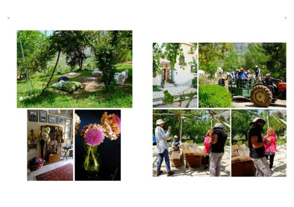 Mayylu!: Discovering Lebanon's Hidden Culinary Heritage