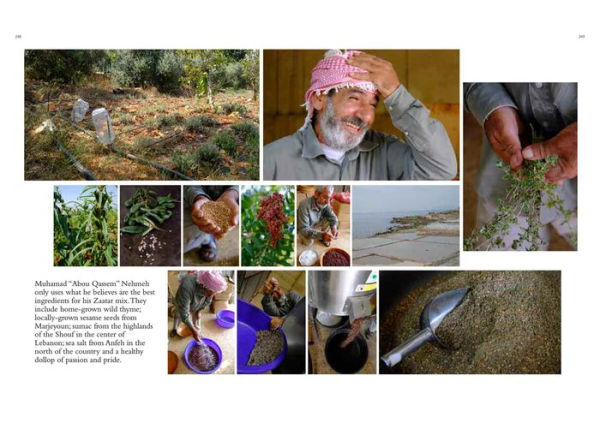 Mayylu!: Discovering Lebanon's Hidden Culinary Heritage
