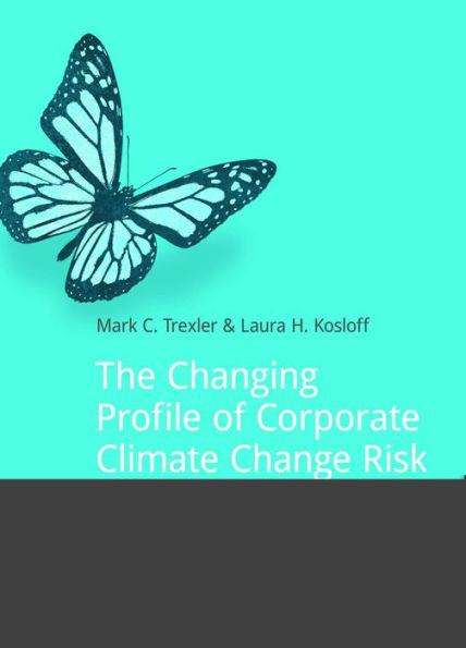 The Changing Profile of Corporate Climate Change Risk