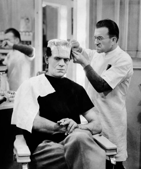 Frankenstein: The First Two Hundred Years