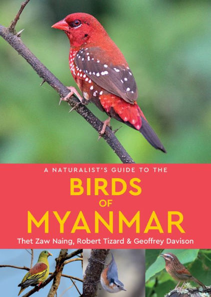 A Naturalist's Guide to the Birds of Myanmar