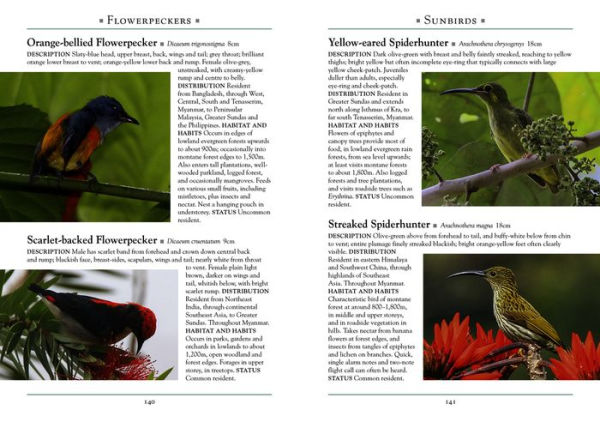 A Naturalist's Guide to the Birds of Myanmar