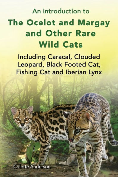 An introduction to The Ocelot and Margay and Other Rare Wild Cats Including Caracal, Clouded Leopard, Black Footed Cat, Fishing Cat and Iberian Lynx