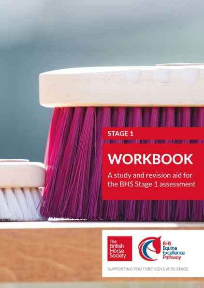 BHS Stage 1 Workbook: A study and revision aid for the assessment