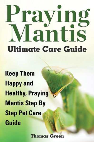 Praying Mantis Ultimate Care Guide