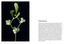 Alternative view 2 of The Star-Nosed Mole: An Anthology of Scented Garden Writing