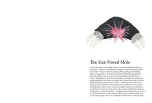 Alternative view 5 of The Star-Nosed Mole: An Anthology of Scented Garden Writing