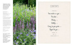 Alternative view 3 of Brilliant & Wild: A Garden from Scratch in a Year