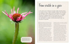 Alternative view 5 of Brilliant & Wild: A Garden from Scratch in a Year
