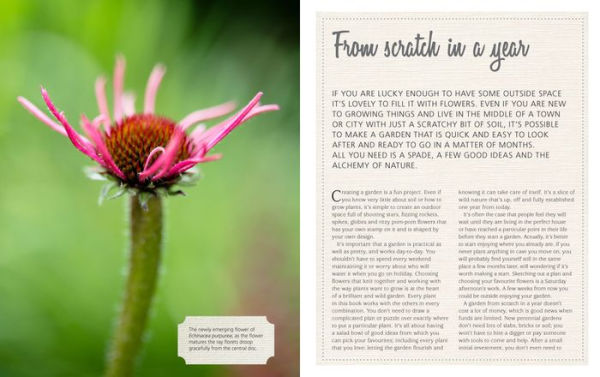 Brilliant & Wild: A Garden from Scratch in a Year